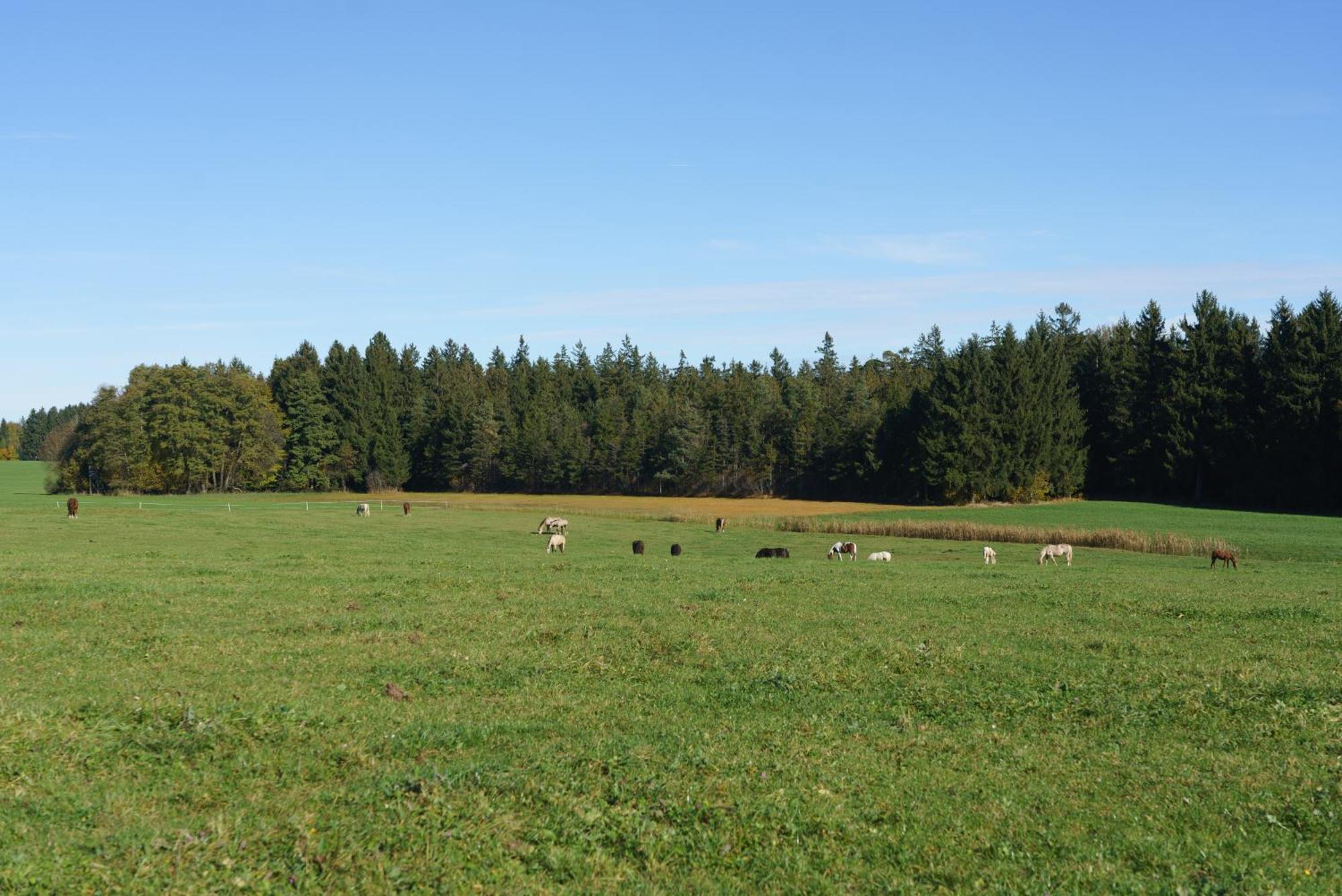 Private Farmhouse Escape - Ideal For Up To 8 Guests Seeham Exterior photo